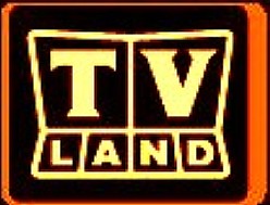 Click here to go to TV Land's Munsters Page!